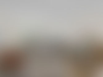 Spring Into Your New Home: U.S. Shelter Homes' Available and Soon-to-Be-Ready Homes in Delavan, Twin Lakes & Whitewater