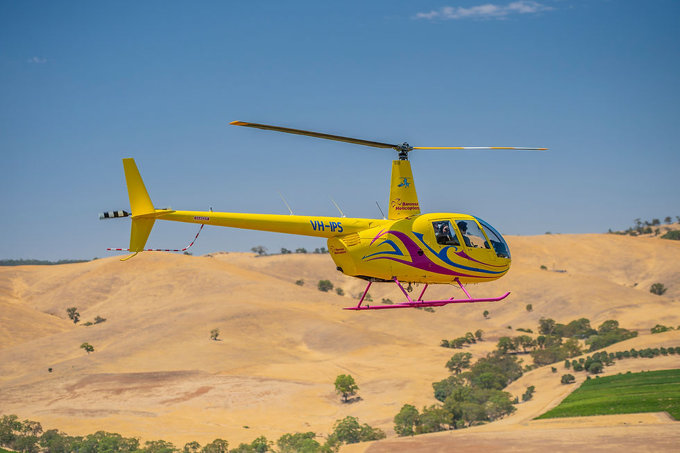 Family Helicopter flight South Australia