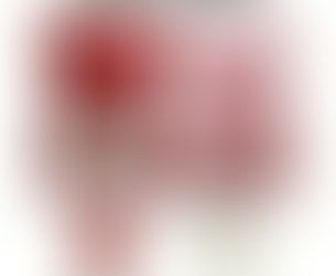 Bear Wax Melt Bundles