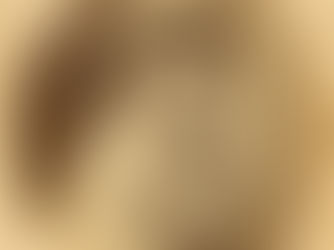 The Ultimate Guide to Digitizing Photos: Top Companies for Preserving Your Photos in the Digital Age