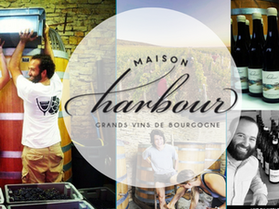 2025/12/14(日) 沒有標準答案的勃根地:新銳勢力崛起Maison Harbour