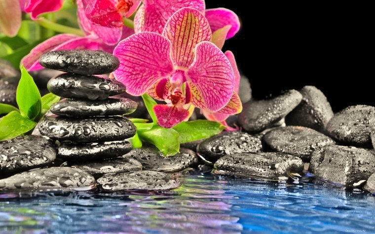 Massage and lpg Orchidee