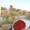 Thumbnail: Proposal setup