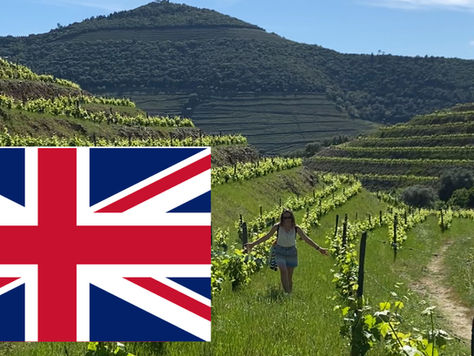 Embarking on a Journey Through Portugal's Enchanting Douro Valley: From Porto São Bento to Pinhão