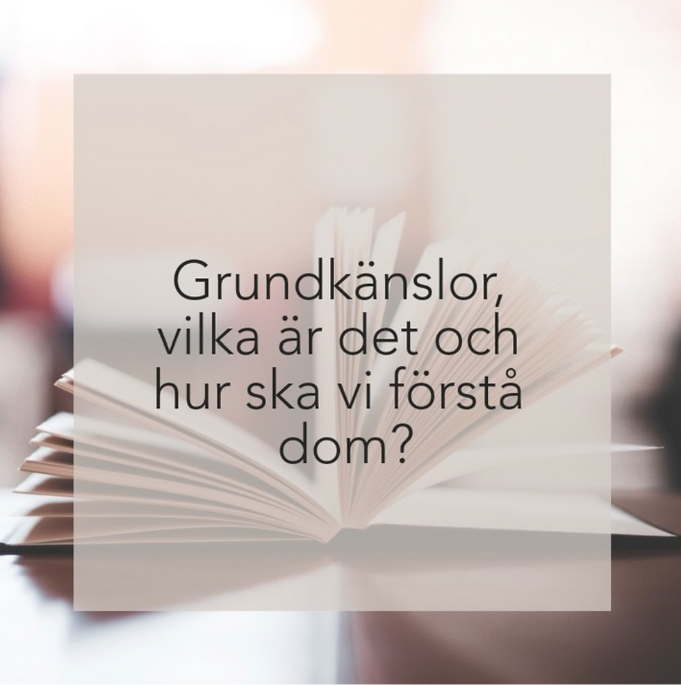 Grundkänslor, vilka är det och hur ska vi förstå dom?