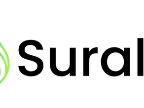 Suralis es el nuevo nombre de la empresa de agua y saneamiento con presencia en las regiones de los Ríos y Los Lagos