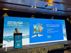 Presidenta de Andess: “Enfrentamos el reto de brindar seguridad de abastecimiento de agua a las personas en un escenario de cambio climático y sin retroceso”