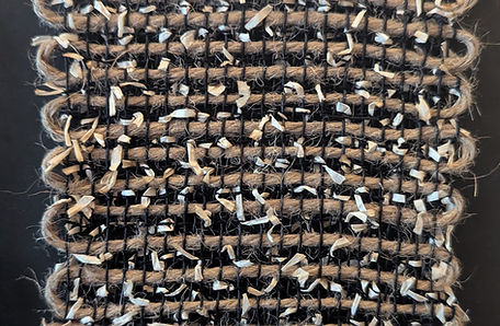 PXL_20251027_165438901 (1).jpg