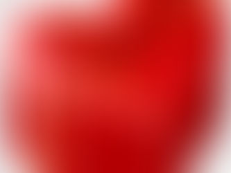 Guarded Gift (Love Trilogy Part Four)