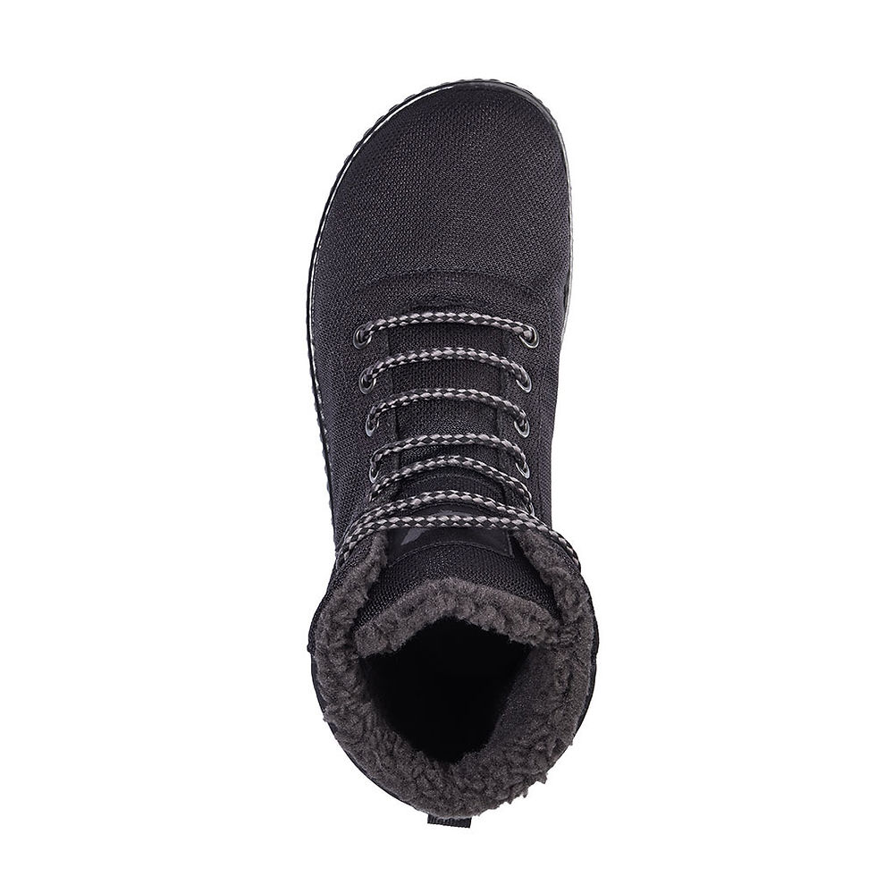 Pikkukuva: Leguano Kosmo