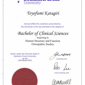 Bachelor of Clinical Sciences.jpeg