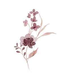 flower_watercolor-03.png