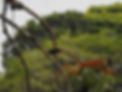 DSCN3595.JPG