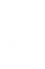 Untitled design (10).png