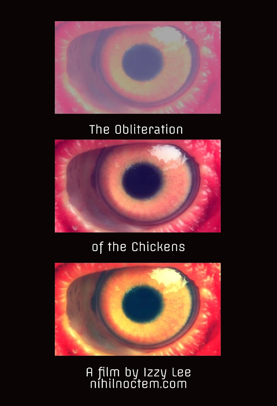 The Obliteration of the Chickens poster Izzy Lee