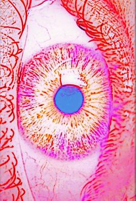 eye%20(2)_edited.jpg