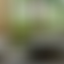 Celebrity Owned Restaurants