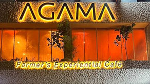Taste Homegrown Vegan Delicacies At Agama Cafe: A Plant-based Experiential Cafe
