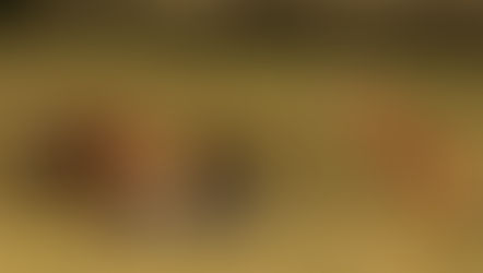 Luxury Safari in African Deserts: 5 Astonishing Safari to See Life in the Wild