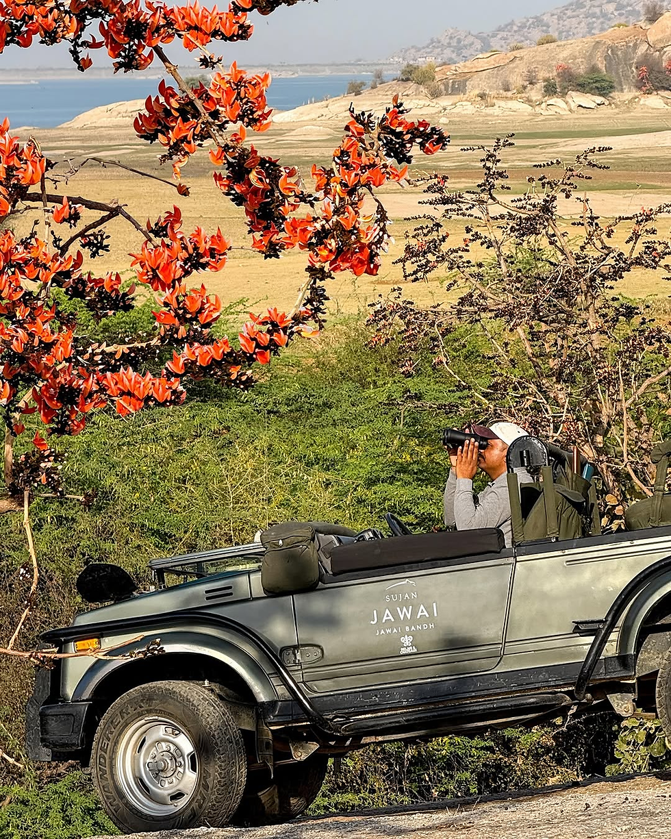 Deeply rooted in exploration and connection with nature, each experience at Sujan Jawai will make you slow down, relax and find yourselves closer to nature and your sense of being. The highlight is tracking leopards in their natural habitat, guided by expert naturalists. The region is known for its high density of leopards, along with diverse birdlife and other wildlife. Beyond safaris, guests can engage in village walks, cultural interactions with the Rabari community, hiking, horse riding, and temple visits. Activities like outdoor yoga, stargazing, and bush dining further enrich the stay, offering a balance between adventure and relaxation. Each experience is thoughtfully curated to foster a deeper understanding of the land, its wildlife, and its people.