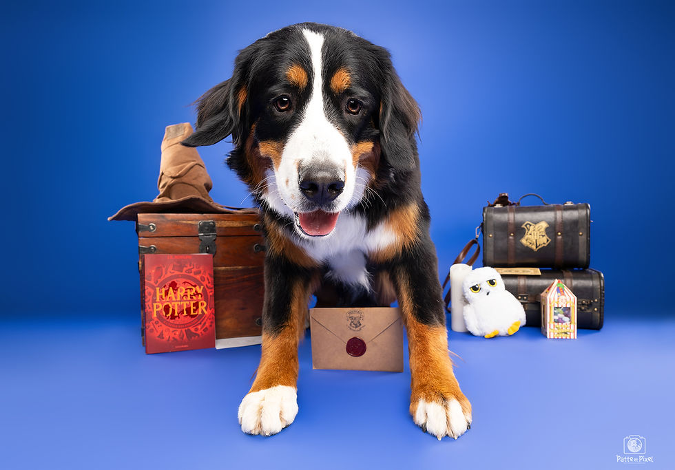 3 s