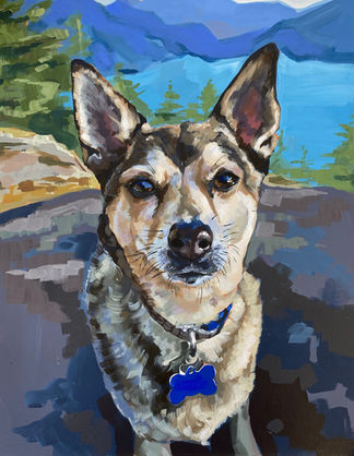 Pet Portraits