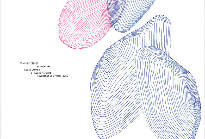 TOUS MES CAILLOUX de Françoise Lison-Leroy et Raphaël Decoster (coll. Les Carnets 01, CotCotCot éditions) - all rights reserved