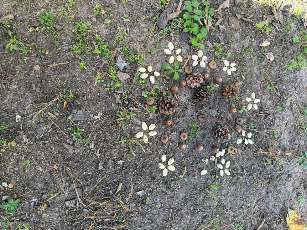 FB_IMG_1760245316785