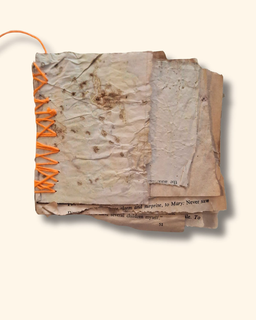 Thumbnail: Ash & Thread – Fragment Book