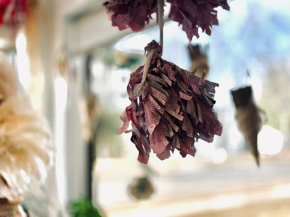 429981642_10161076768985926_3110854016455011725_n