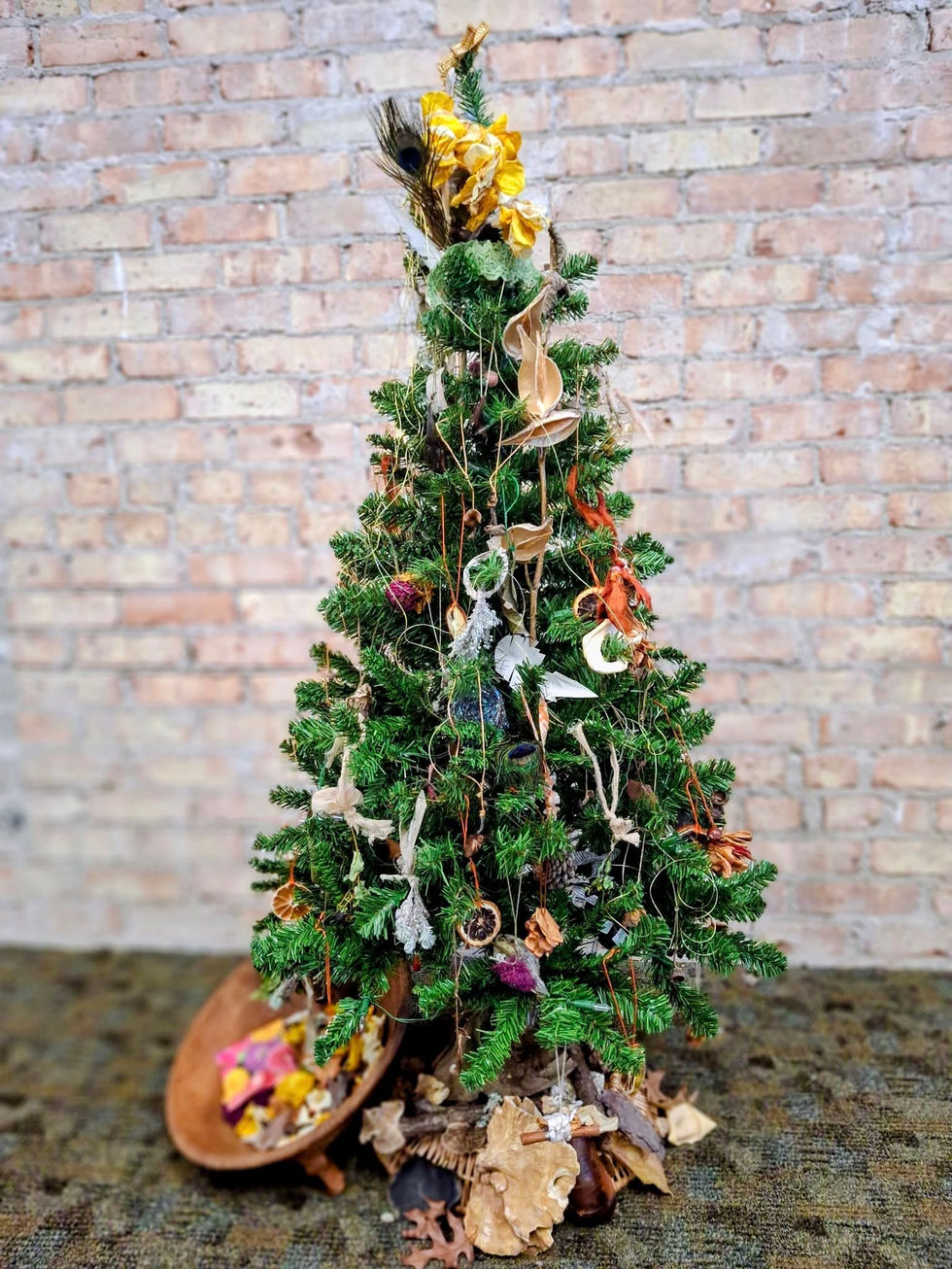 586542524_786771081112961_8074609004087709470_n