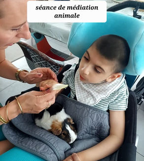 Liciano en séance de médiation animale