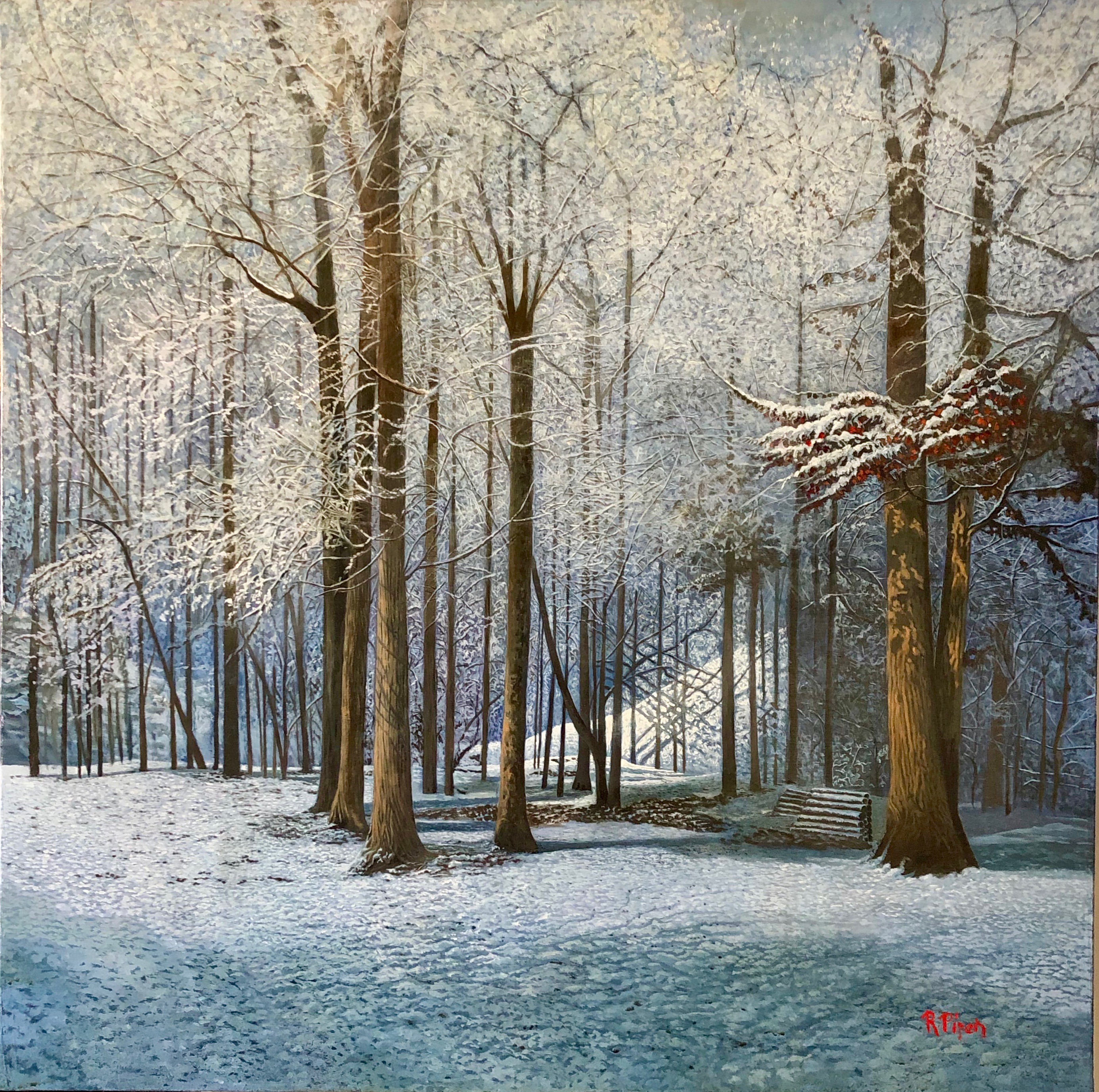 Simply snow