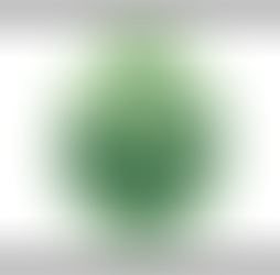 Nursery Tests New System to Combine Ornamental Plant Production with Forestry