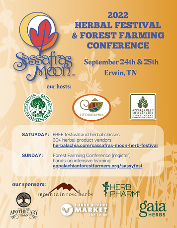 SassyFest Flyer.png