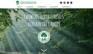 ABFFC HOME.png