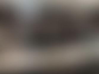 Empowering Women Landowners for the Birds