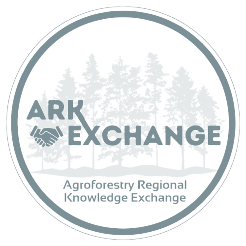 Untitled design_edited_edited.png