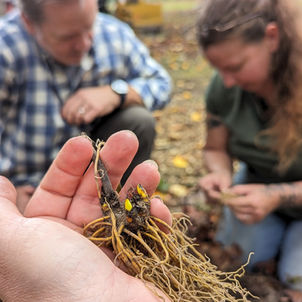 Appalachian Sustainable Development Partner Page