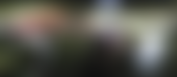 洞庭湖水灾决堤 各方合力同心成功合龙