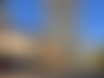 南澳州科学与卓越创新奖揭晓三大高校斩获殊荣