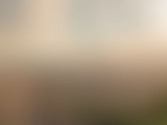 外长王毅访问法国会见马克龙加强中法合作 维护全球稳定