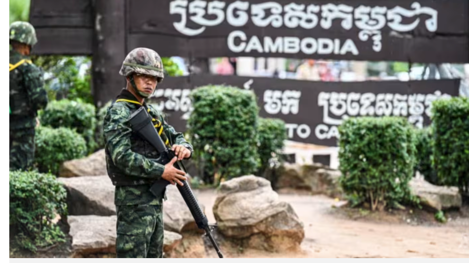 tu p lai y