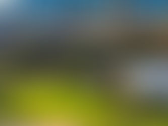 悉尼房价首次下跌