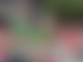 一年一度阿德莱德圣诞游行隆重举行