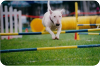 2003