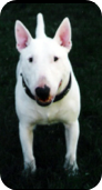 2001