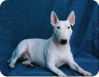 2006