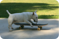 2003