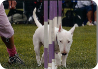 2005